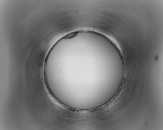 X0000090780903200707201132