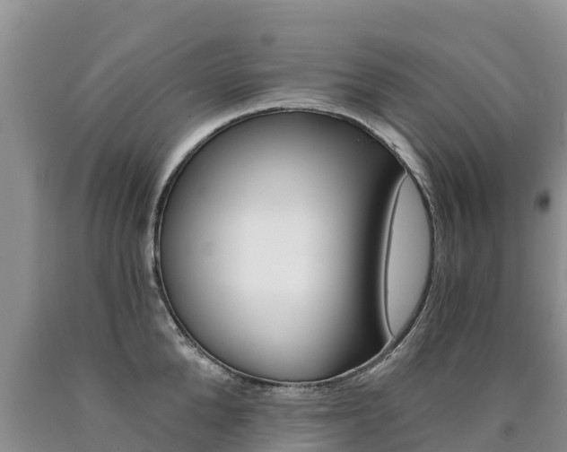 X0000090780904200707201132