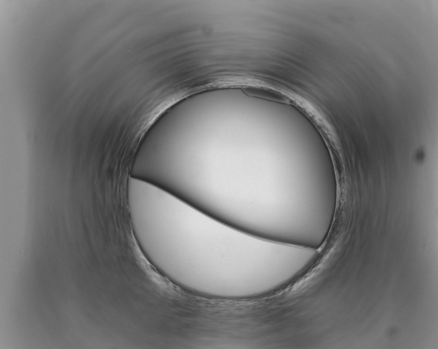 X0000090780905200707201132