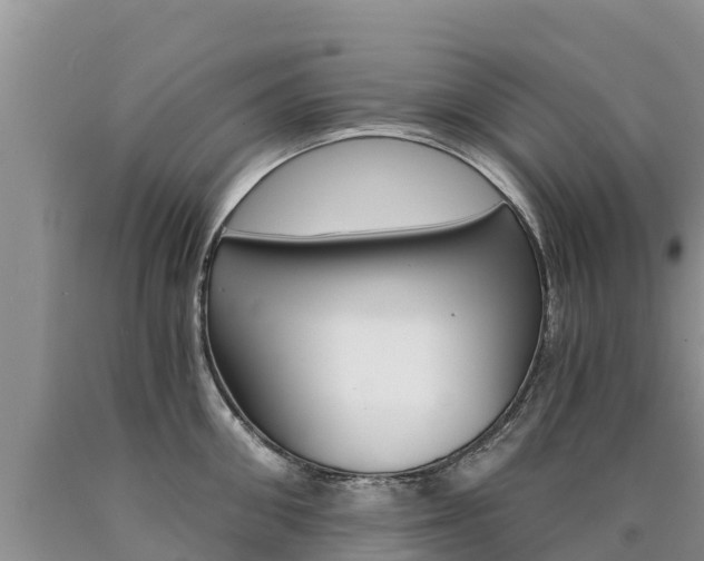 X0000090780906200707201132