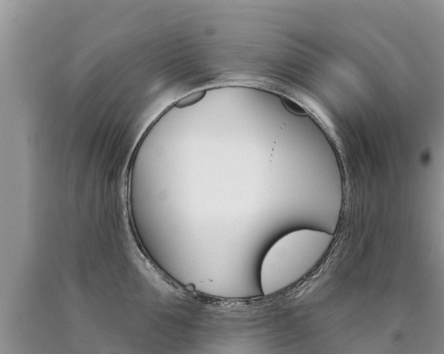 X0000090780907200707201132