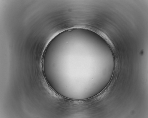 X0000090780908200707201132