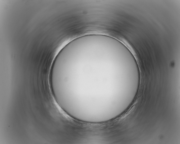 X0000090780909200707201132