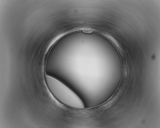 X0000090780910200707201132