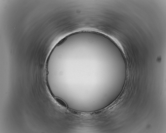 X0000090780911200707201132