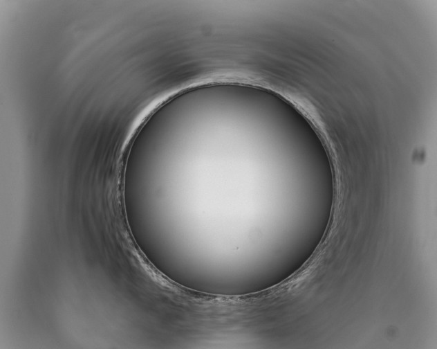 X0000090780912200707201132