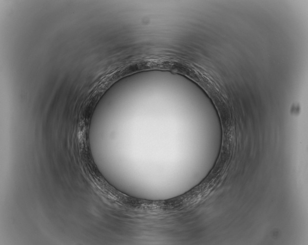 X0000090780914200707201132