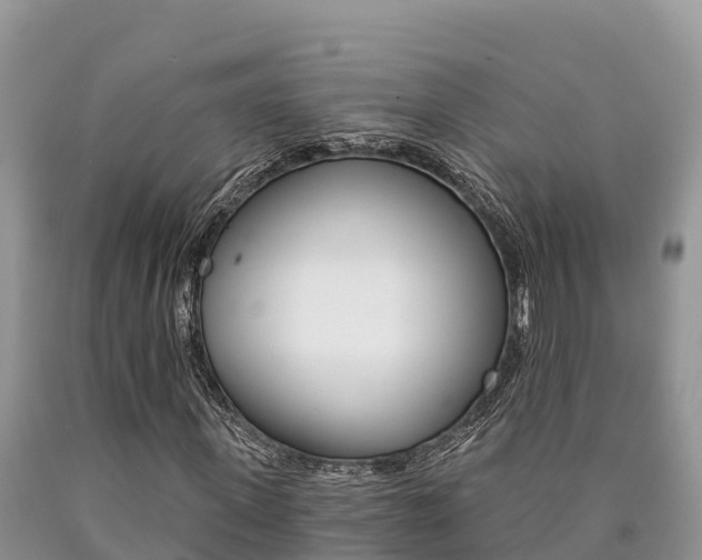 X0000090780915200707201132