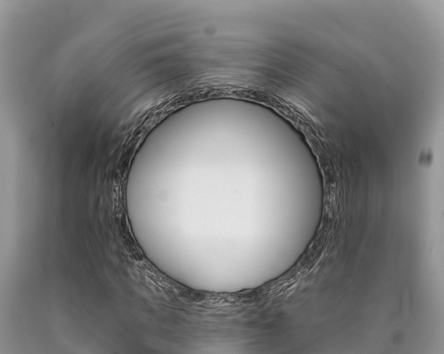 X0000090780917200707201132