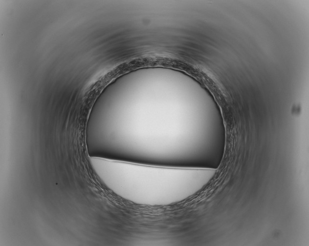 X0000090780919200707201132