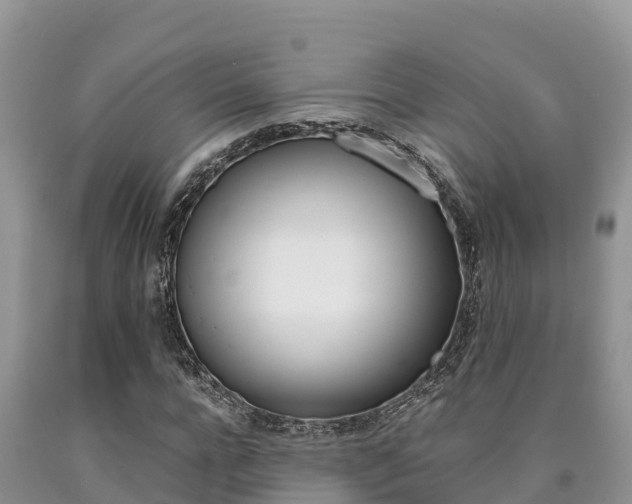 X0000090780920200707201132