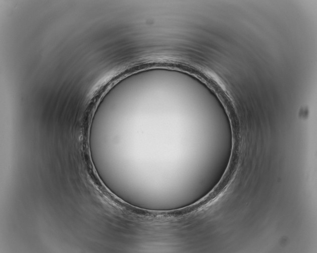 X0000090780922200707201132
