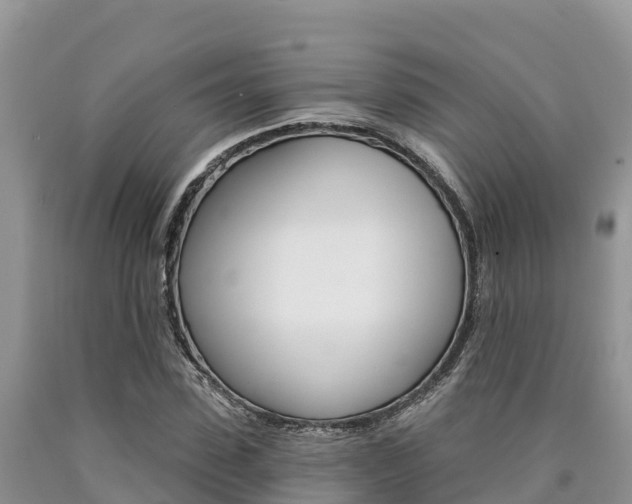 X0000090780923200707201132