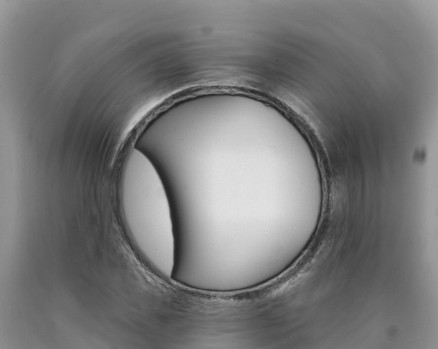 X0000090780925200707201132