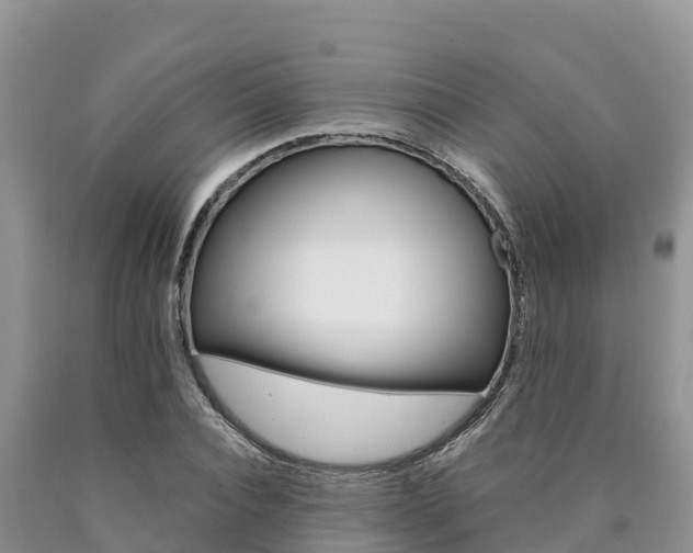 X0000090780928200707201132