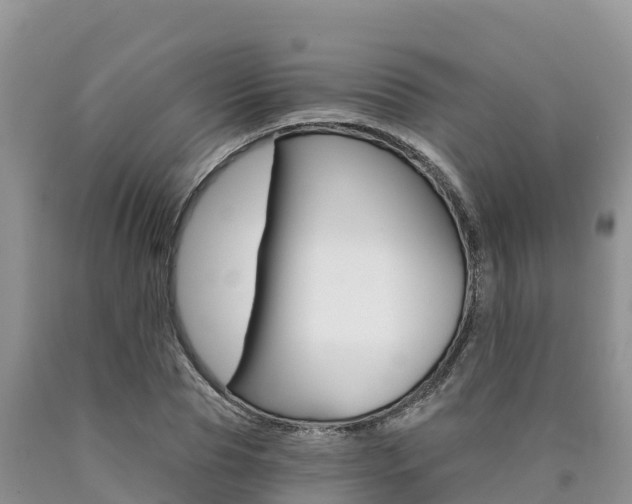 X0000090780929200707201132