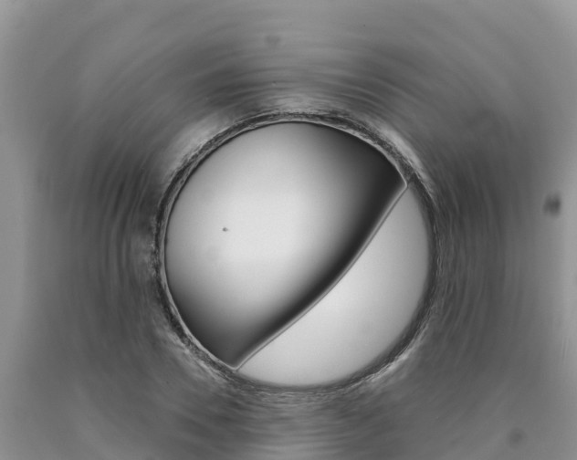 X0000090780930200707201132