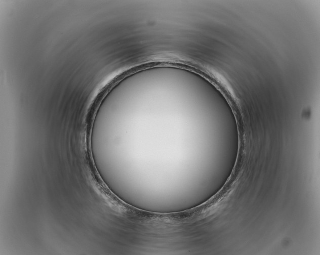 X0000090780931200707201132
