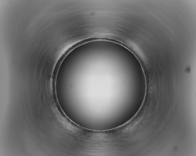 X0000090780932200707201132