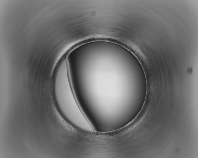 X0000090780934200707201132