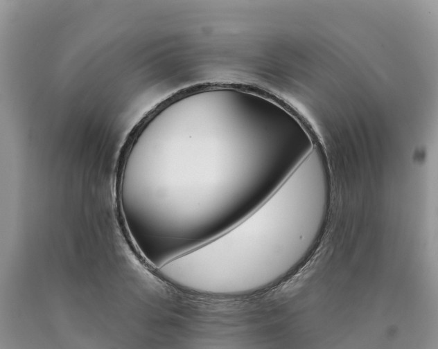 X0000090780935200707201132