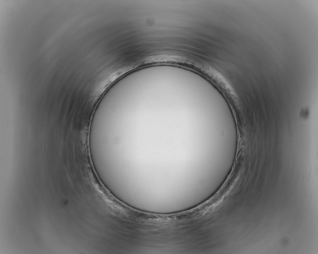 X0000090780937200707201132