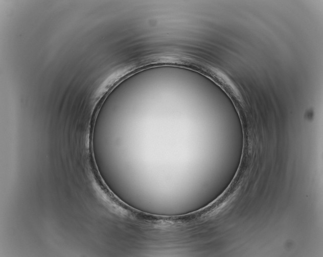 X0000090780938200707201132