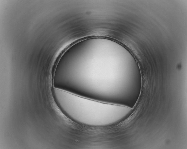 X0000090780939200707201132