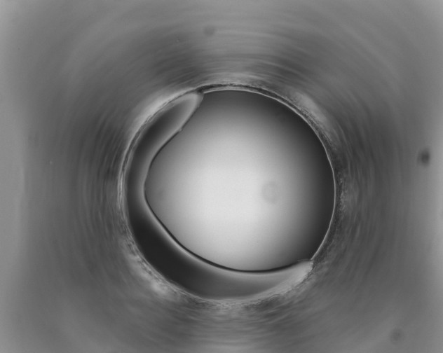 X0000090780940200707201132
