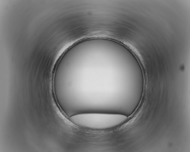 X0000090780941200707201132