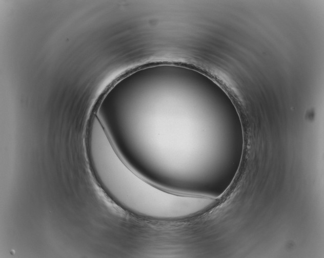 X0000090780942200707201132