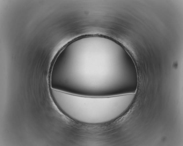 X0000090780943200707201132