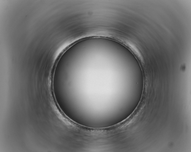 X0000090780944200707201132