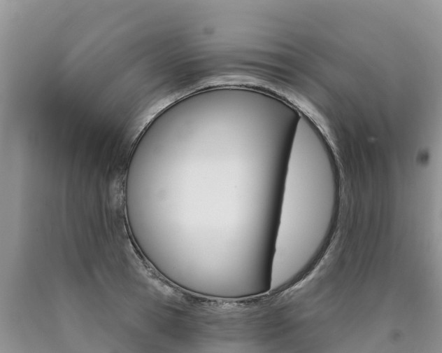 X0000090780945200707201132
