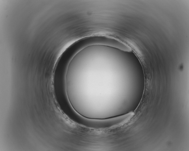 X0000090780948200707201132