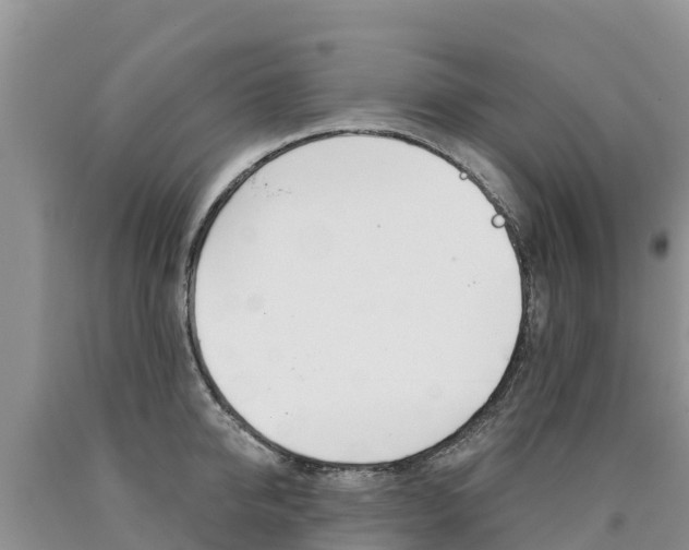 X0000090780950200707201132