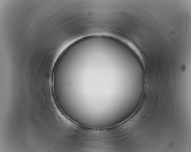 X0000090780951200707201132