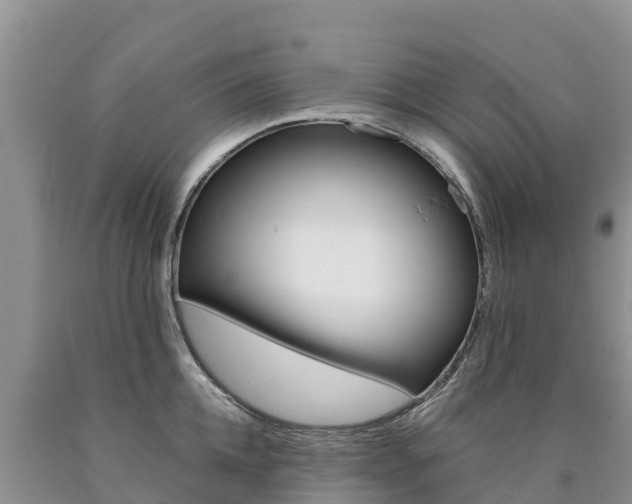 X0000090780952200707201132