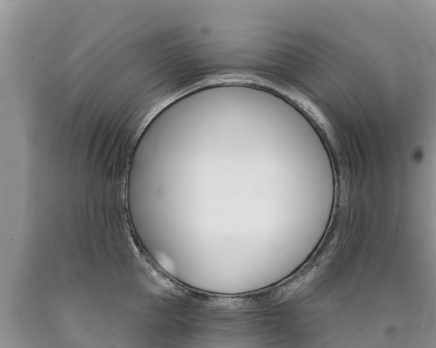 X0000090780953200707201132