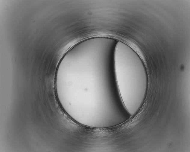 X0000090780954200707201132