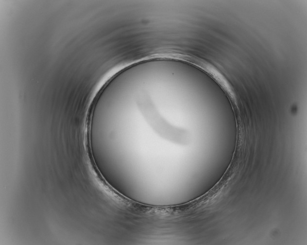 X0000090780955200707201132