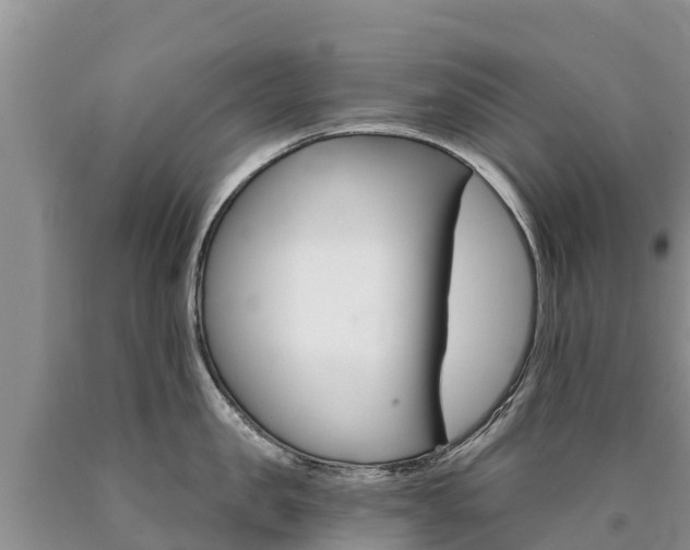 X0000090780957200707201132