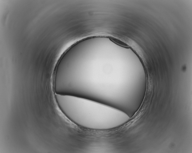 X0000090780958200707201132