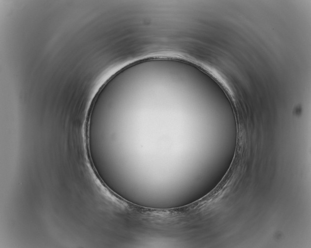 X0000090780959200707201132