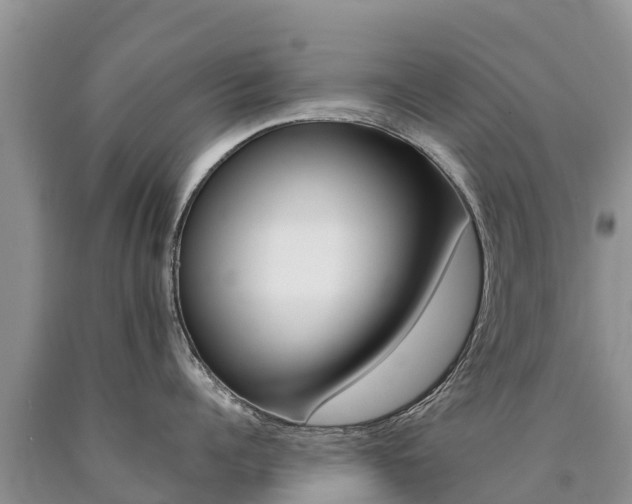 X0000090780960200707201132