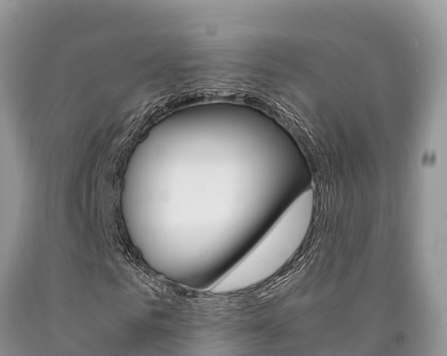 X0000090780961200707201132