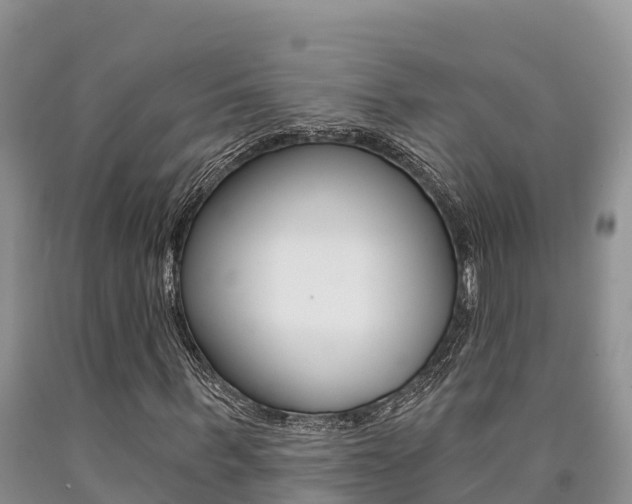 X0000090780963200707201131