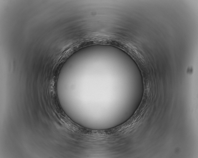 X0000090780964200707201131