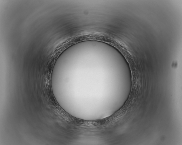 X0000090780966200707201131