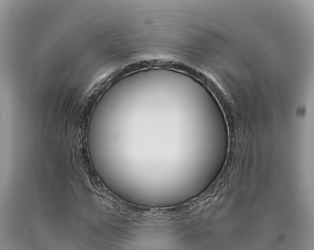 X0000090780967200707201131